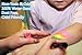 Liquid Chalk Markers - 8 Colored Erasable Chalk Pens + 8 Reusable Labels, Dry/Wet Erase Chalkboard Markers Perfect for Window Paint, Stencil Maker