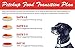 Petchup BARK B-Q Flavor Nutritional Dog Gravy Condiment - Gluten Free Best Dry Dog Food Topper with Natural, Healthy, and Holistic Formula for Adult Dogs. 16 oz. - 1 Bottle Pack