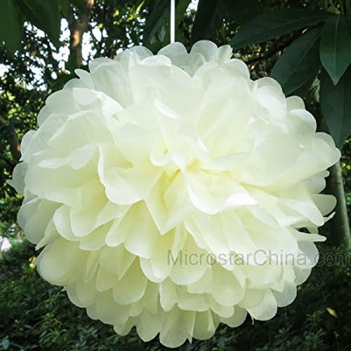10 piece 30 cm Tissue Paper Pom Poms Wedding Decorative Flower
