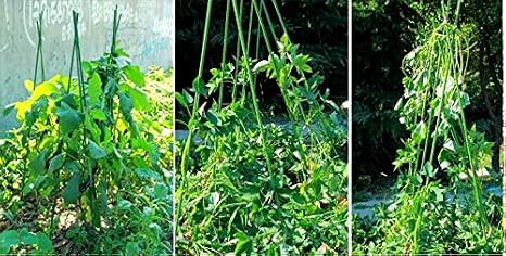 Junjiagao La Jaula de la Planta de Metal recubierta de plástico ...