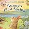 Amazon.com: Bunny's First Spring: 9780310733867: Lloyd-Jones, Sally ...
