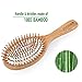 Natural Wooden Hair Brush, Best Bamboo Paddle and Bristle Detangling Hairbrush with Mini Travel Brush Set for Women Men and Kids, for Thick Fine Straight Curly Wavy Dry and Wet Hair