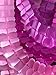 Hanging Garland Four-Leaf Tissue Paper Flower Garland Reusable Party Streamers for Party Wedding Decorations, 11.81 Feet/3.6M Each, Pack of 6 (Pink Set 6PC)