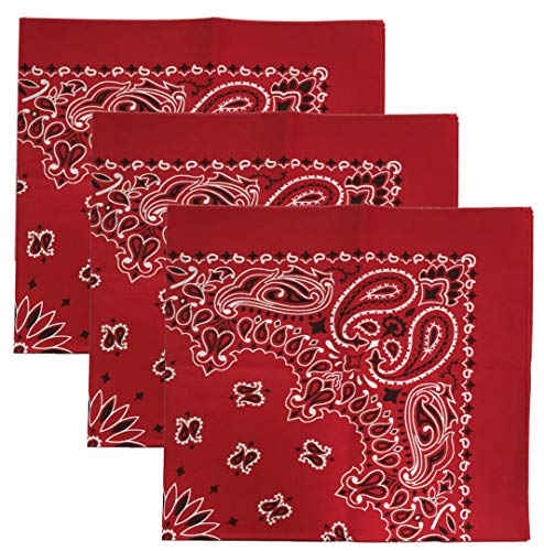 Usa Made Military Army Trainmen Paisley 22 Hav A Hank Paisley Bandana Made In Usa Set Of 3 Buy Online In Aruba At Aruba Desertcart Com Productid