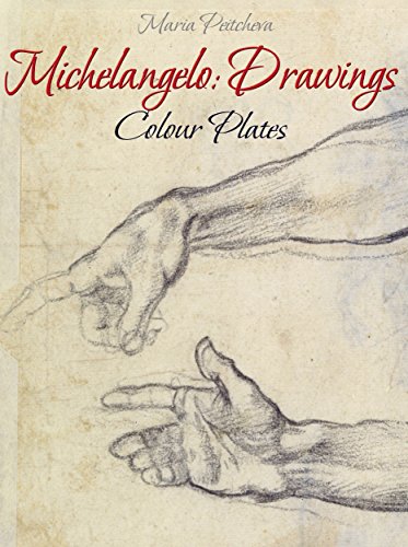 Michelangelo: Drawings Colour Plates