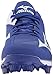 Mizuno Men's 9 Spike ADV Franchise 8 RY Baseball Cleat