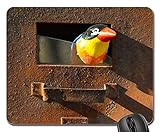 Mouse Pads - Rust Letterbox Bird Old Letter Box
