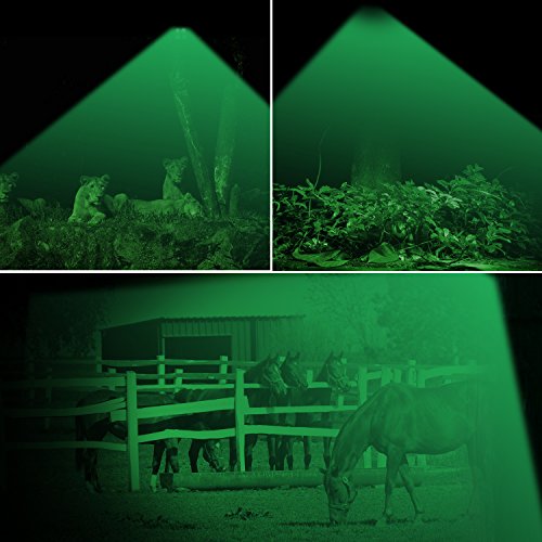 Artitan Feeder Light Hog Hunting Green Light Motion Sensor