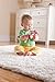 Lamaze Cheery Chirpers Flamingo