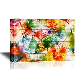 Colorful Feathers Premium