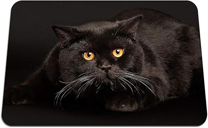 Amazon 26cmx21cm マウスパッド 猫が横たわっている恐怖暗い背景 パターンカスタムの マウスパッド Bingbongbu マウスパッド 通販