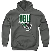 LOGOVISION Oklahoma Baptist University Official Bison Logo Youth Kids Boy/Girls Pull-Over Hoodie Sweatshirt