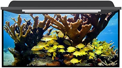 Deep Blue Themes Favorite Yellow Aquarium Background (66-120 Gallons (50Wx30H))