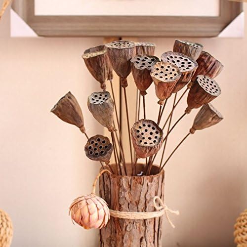 Xiaolanwelc 10PCS New Small Natural Dried Flower Original Ecological Natural Plants Dried Flowers Hay Dried Fruit Mini Lotus Temperament (80CM Long)
