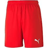 Puma Unisex-Youth Youth Teamgoal 23 Knit Shorts