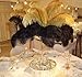 Sowder 10pcs Ostrich Feathers 12-14inch(30-35cm) for Home Wedding Decoration (Golden)