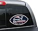 NFL New England Patriots Super Bowl 51 5x Champions Large Window Film
