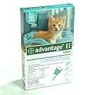 Advantage 2 Kitten