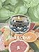 Frespersy Scented Candles Strong Basil & Citrus, Home Fragrance Natural Soy Wax, Long Lasting, Aromatherapy & Stress Relief, Decorative Glass Jar, Travel Gifts (Basil&Citrus)thumb 1