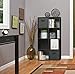 ClosetMaid 1575 Cubeicals 8 Cube Organizer, Black