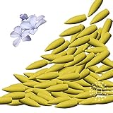 AurAmbiance Backflow Incense Cones Extra Large 2 Scent Multipack: Sweet Jasmine & Green Tea Cone Incense, 140pcs