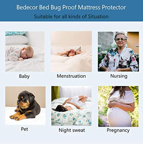 Bedecor Waterproof (Top and around) Mattress Protector Cotton Deep Pocket 30cm - Single (90x190/200cm) - Blue