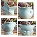 Seashell Succulent Pots 4pcs,Ceramic Planters of Sea Theme with Drainage Hole Cactus/Flower Plant Pots Perfect for Home Office Decor