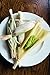 Women Chefs of New York