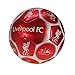 Liverpool Signature Skills Ball