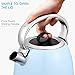 Aicok Electric Tea Kettle, 1.7-Liter Brushed Stainless Steel Kettle with Anti-oxidant Blue Coating, Retro Style with Modern Feature Water Kettle, Auto Shut Off, 1500W