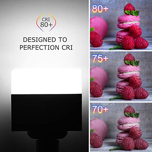 Briignite Garage Light Bulb, 28W LED Square Light Bulb, E26 Medium Base LED Bulb 250W-300W Equivalent, Cool White 6500K 2400LM, Screw in LED Light for Garage, Basement, Workshop, Home Lighting, 2 Pack