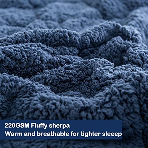 Sherpa Weighted Blanket 15 lbs for Adult, Cottonblue Luxury Comfy Bedding Blanket with Minky Dot Velvet, Dual Sided Soft Hug Blanket for Sofa Couch Bed Home Decor, Navy Blue, 60\'\'x80\'\'