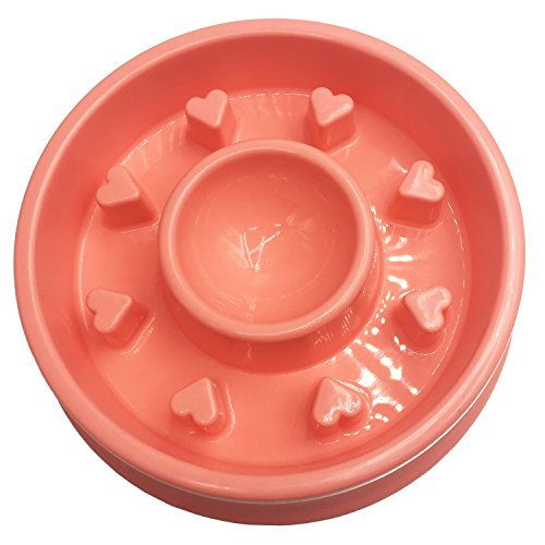 Pet Cuisine Non-Skid Slow Feeder Dog Bowl Anti-Gulping Interactive Puppy Slower Food Feeding Dishes