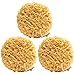 Exfoliating Foam Sea Sponge 5 Inch (Pack of 3) Natural Feel