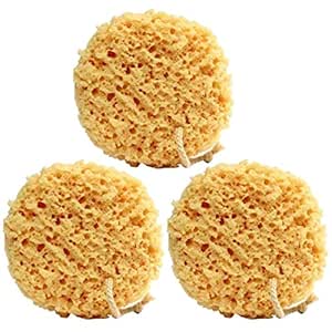 Exfoliating Foam Sea Sponge 5 Inch (Pack of 3) Natural Feel 5"