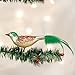 Old World Christmas Ornaments: Bird Watcher Collection Glass Blown Ornaments for Christmas Tree, Christmas Bird