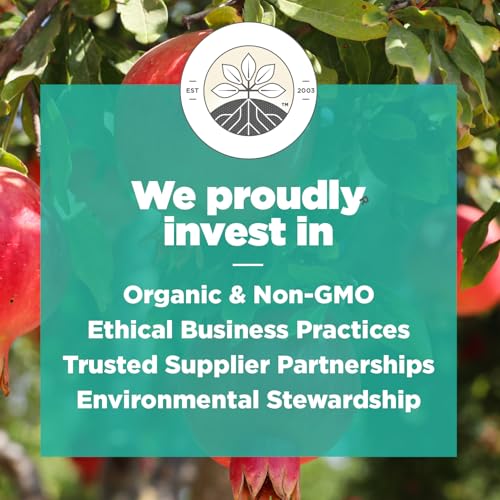 Navitas Organics Pomegranate Powder – Organic Juice Powder - For Smoothies, Desserts, Dips & More – Antioxidant Support - USDA Organic, Non GMO, Kosher, Gluten Free, Vegan (8oz. Bag, 45 Servings)