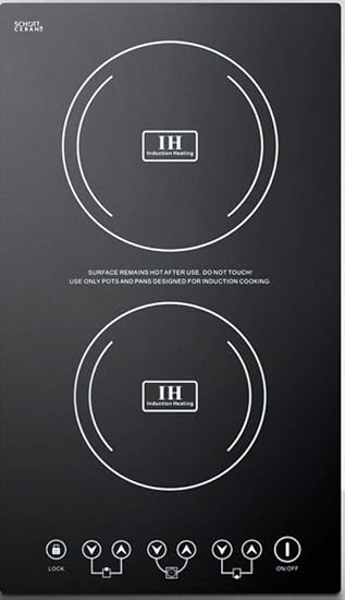 220V 2-Burner Induction Cooktop 