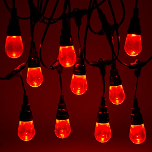 Newhouse Lighting RGBWSTRING18 Outdoor LED Color Changing RGB String Lights with Warm and Cool White Light with Weatherproof Technology, Heavy Duty 36-Foot Cord with 18 Hanging Sockets and Remote