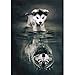 5D Diamond Painting Cross Stitch Kits Set Diamond Embroidery Diamond Mosaic DIY Embroidery Painting Husky Wolf