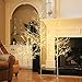 LIGHTSHARE Christmas Tree Combo Kit - Starlit Tree Collection with Angel Lights, 4 Feet 5 Feet and 6 Feet, Golden, Pack of 3, Perfect for Home Decor Holiday Party Wedding