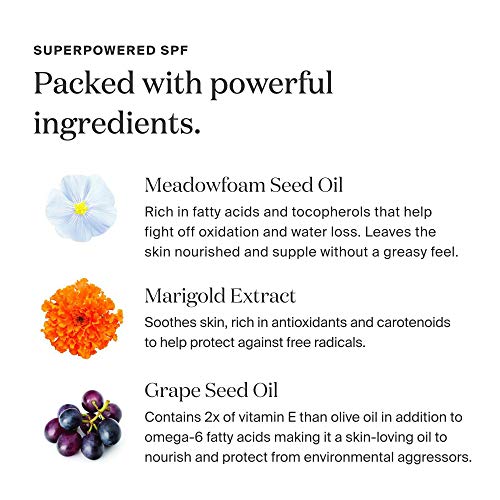 Supergoop! Sun-Defying Sunscreen Oil SPF 50, 5 fl oz - Hydrating Vitamin E Body Oil & Broad Spectrum Sunscreen Protection - Nourishing Body Oil with Marigold, Meadowfoam & Grape Seed Extracts 5 Supergoop! Sun-Defying Sunscreen Oil SPF 50, 5 fl oz - Hydrating Vitamin E Body Oil & Broad Spectrum Sunscreen Protection - Nourishing Body Oil with Marigold, Meadowfoam & Grape Seed Extracts