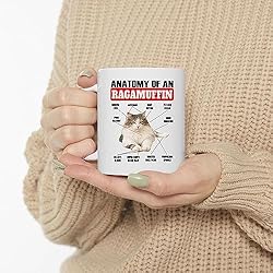 Lovesout Funny White Brown Tabby Ragamuffin Cat