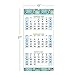 2020 Wall Calendar (Runs from November 2019 through January 2021), 3 month view, 13