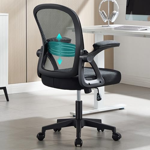 Fizzin Ergonomic Office Chair, Home Desk Chair, Adjustable Lumbar Support and Padded Seat, Breathable Mesh Computer Chair with Reversible Padded Armrests, Home Office Chair (Black)