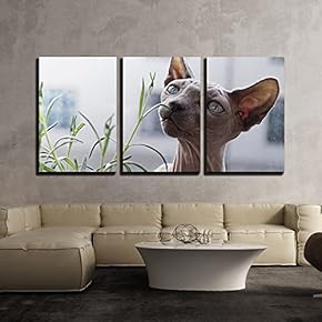 3 Piece Canvas Wall Art - D Dog Smells The Grass - Modern Home Art Stretched and Framed Ready to Hang - 16"x24"x3 Panels