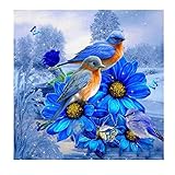 Yeefant Blue Bird Landscape Embroidery Paintings No Fading 5D Canvas Rhinestone Pasted DIY Part Drill Diamond Cross Stitch Home Wall Decor for Bedroom Living Room,12x12 Inch,MulticolorC
