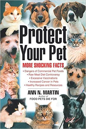 How To Determine Your Pet's Quality Of Life - RTELEY