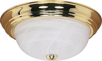 Nuvo 60 215 Flush Mounted Dome Light Fixture 15 Polished Brass Alabaster Glass Close To Ceiling Light Fixtures Amazon Com