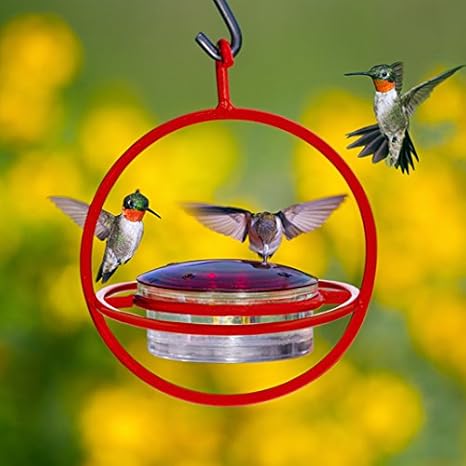 Bird Supplies Mosaic Birds M424 Hummble Easy Hook Tabletop Stand